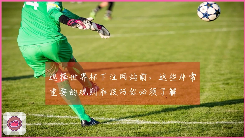 选择世界杯下注网站前，这些非常重要的规则和技巧你必须了解