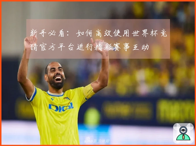 新手必看：如何高效使用世界杯竞猜官方平台进行精彩赛事互动