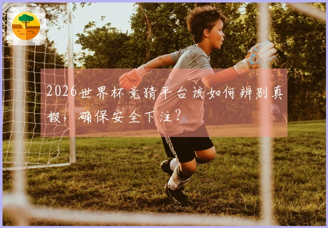 2026世界杯竞猜平台该如何辨别真假，确保安全下注？