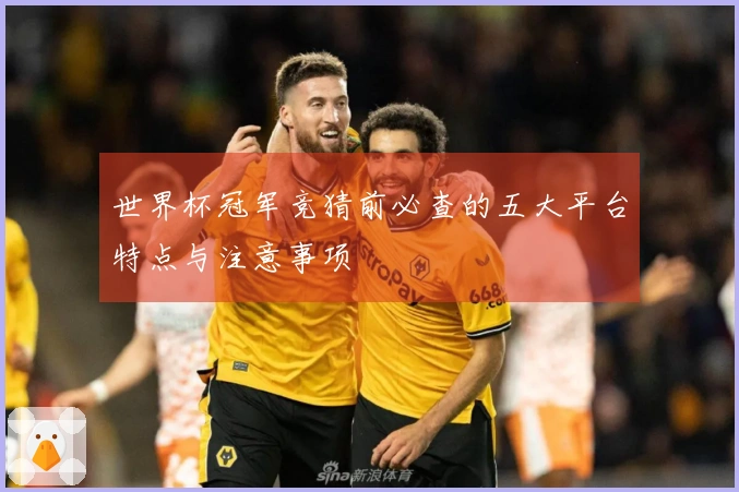 世界杯冠军竞猜前必查的五大平台特点与注意事项
