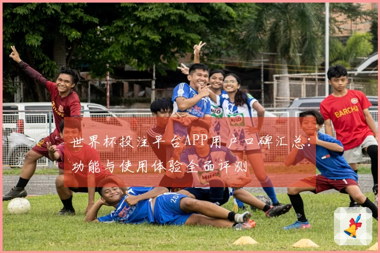 世界杯投注平台APP用户口碑汇总:功能与使用体验全面评测