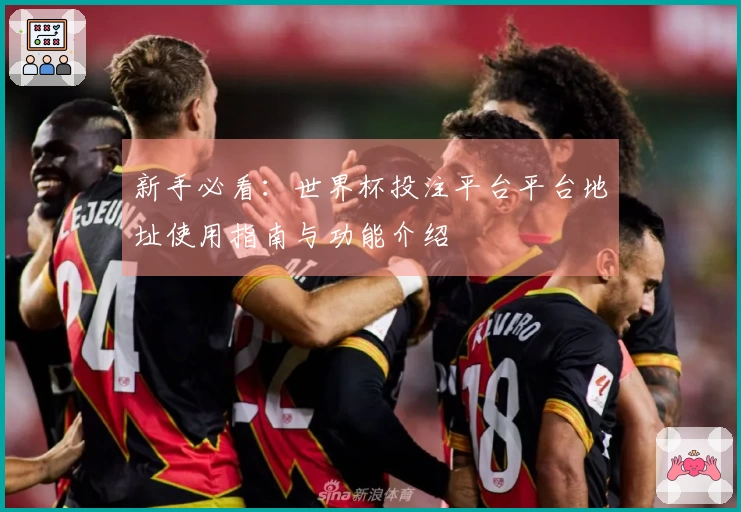 新手必看：世界杯投注平台平台地址使用指南与功能介绍