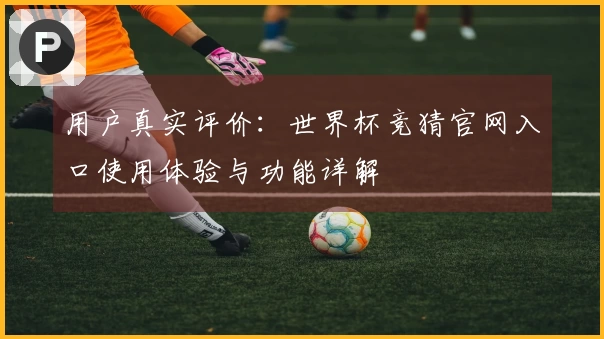 用户真实评价：世界杯竞猜官网入口使用体验与功能详解