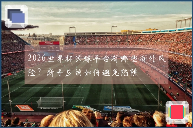 2026世界杯买球平台有哪些海外风险？新手应该如何避免陷阱
