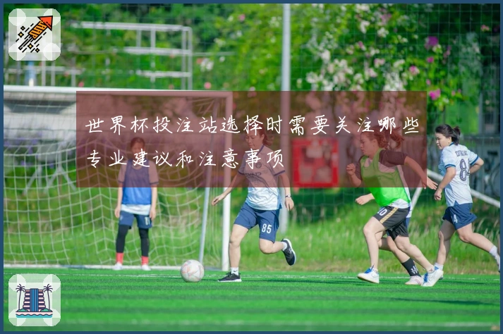 世界杯投注站选择时需要关注哪些专业建议和注意事项
