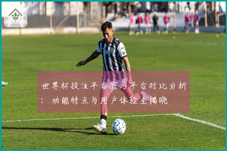 世界杯投注平台官方平台对比分析:功能特点与用户体验全揭晓