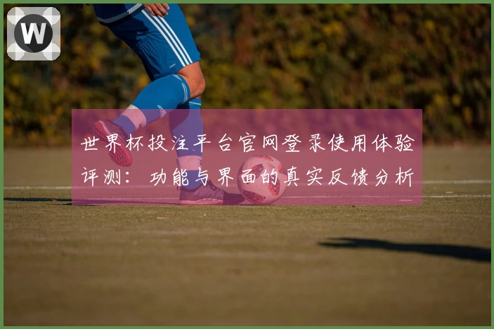 世界杯投注平台官网登录使用体验评测：功能与界面的真实反馈分析