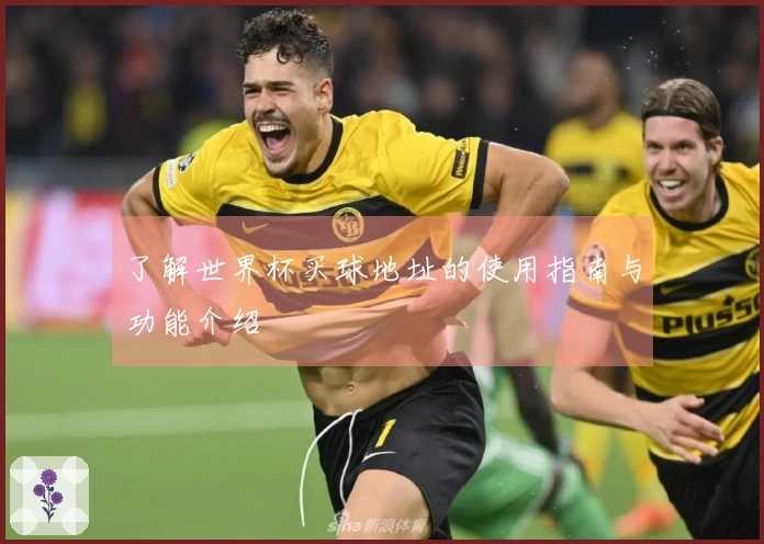 了解世界杯买球地址的使用指南与功能介绍