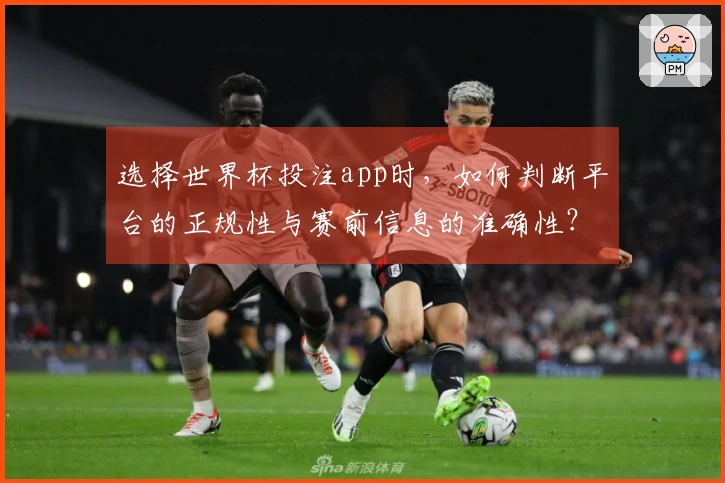 选择世界杯投注app时，如何判断平台的正规性与赛前信息的准确性？