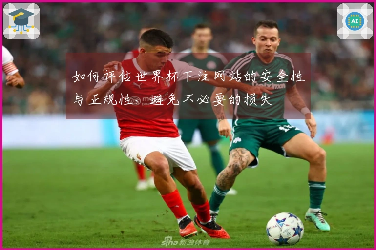 如何评估世界杯下注网站的安全性与正规性，避免不必要的损失