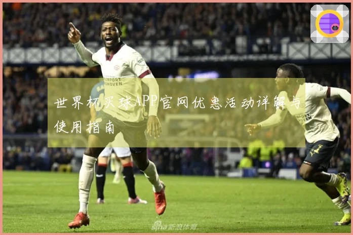 世界杯买球APP官网优惠活动详解与使用指南