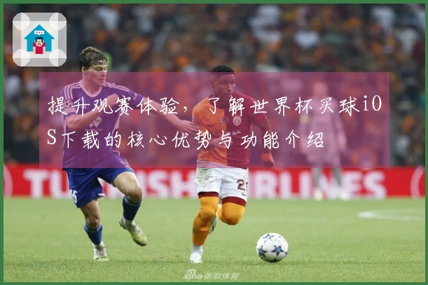 提升观赛体验，了解世界杯买球iOS下载的核心优势与功能介绍