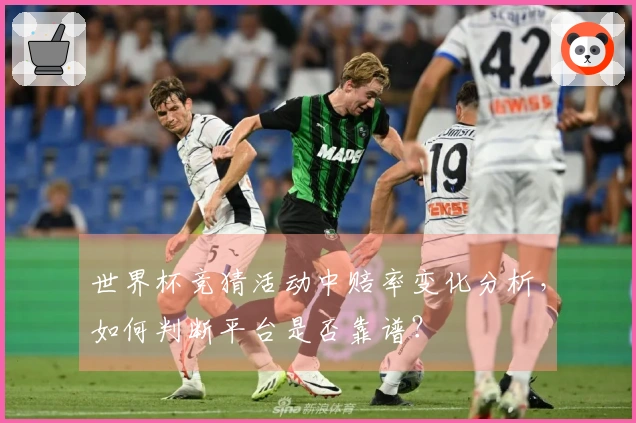 世界杯竞猜活动中赔率变化分析，如何判断平台是否靠谱？