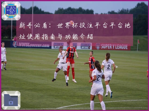 新手必看：世界杯投注平台平台地址使用指南与功能介绍