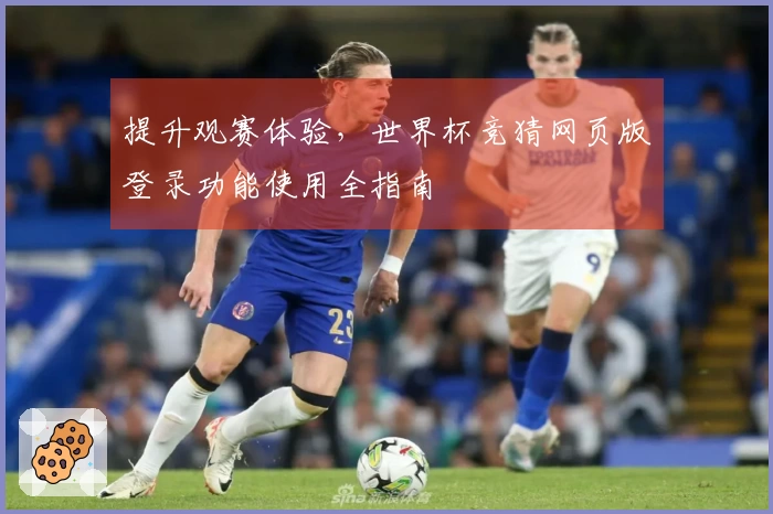 提升观赛体验，世界杯竞猜网页版登录功能使用全指南