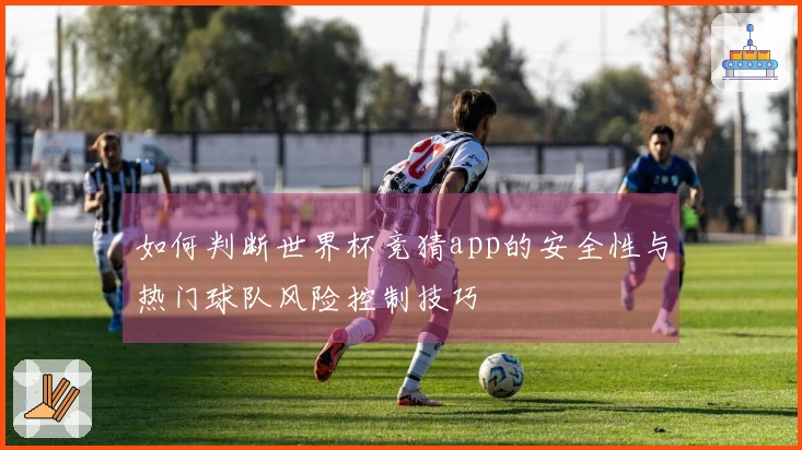 如何判断世界杯竞猜app的安全性与热门球队风险控制技巧