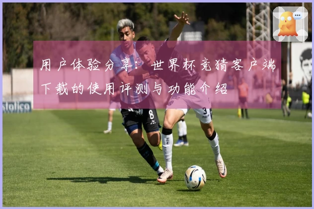 用户体验分享：世界杯竞猜客户端下载的使用评测与功能介绍